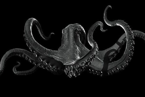 Kraken com darknet